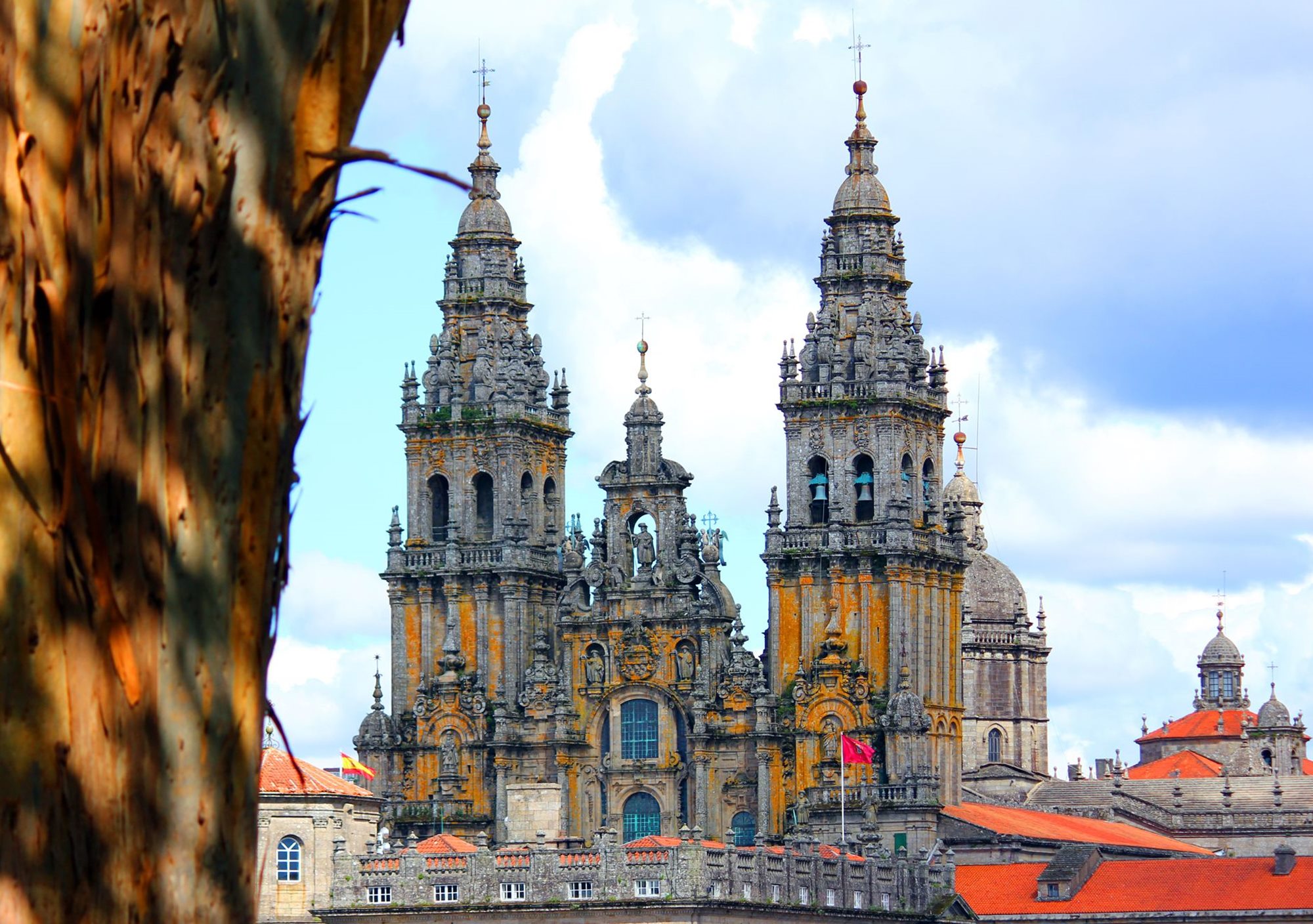 cosas que hacer, ver y visitar, visitas tours y excursiones en Santiago de Compostela